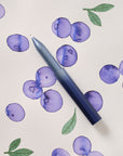 Blueberry Wren - Special Edition