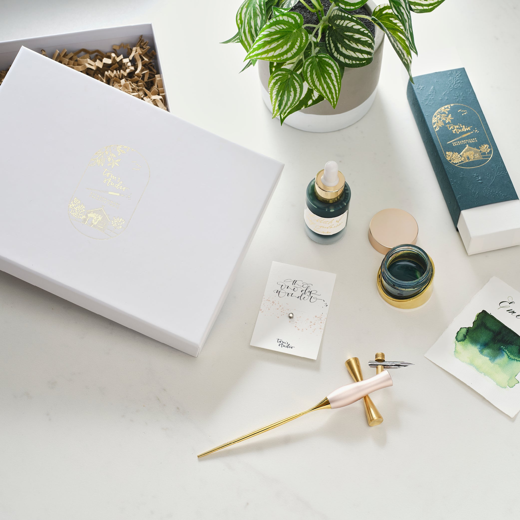Studio Series Set Per Calligrafia - Penne, Pennini E Cartucce - Kit Completo Per Imparare La Bella Scrittura