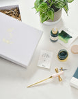 Calligraphy Pen Gift Set