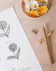 Drawing Guide: British Countryside