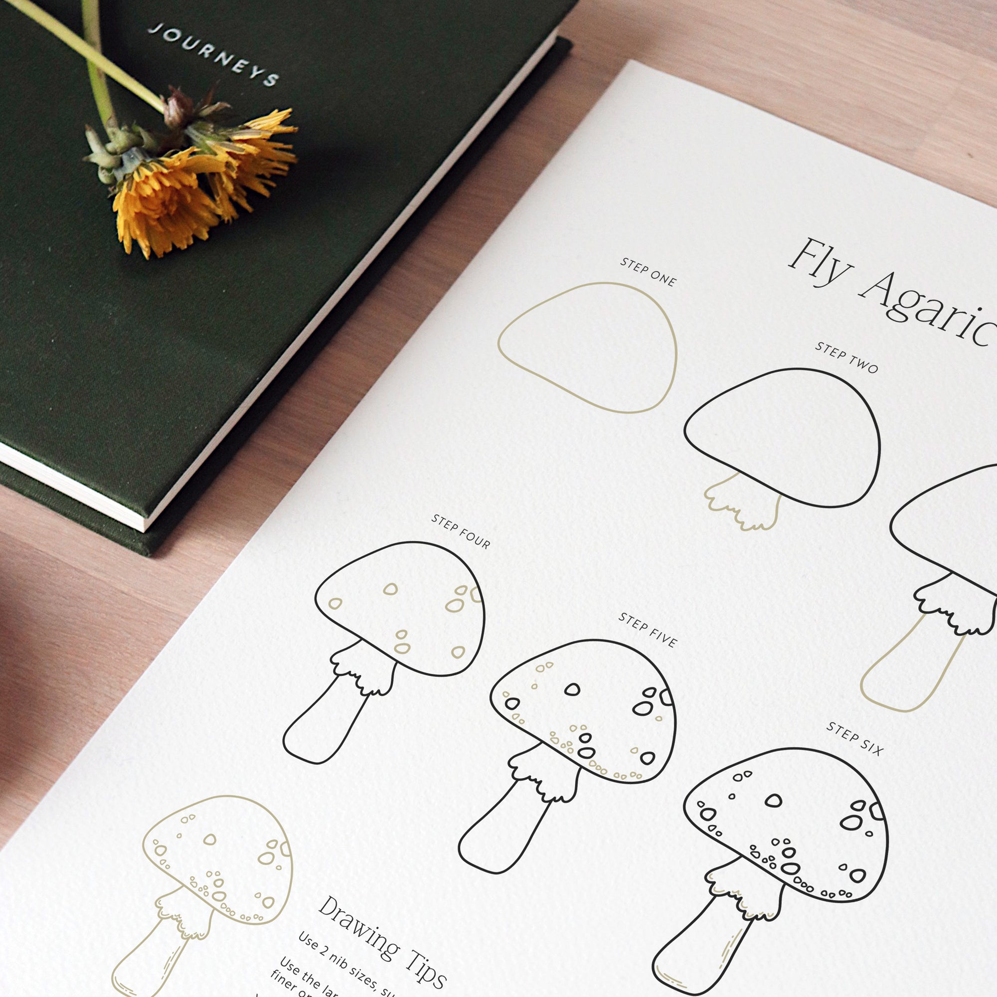 Drawing Guide: British Countryside