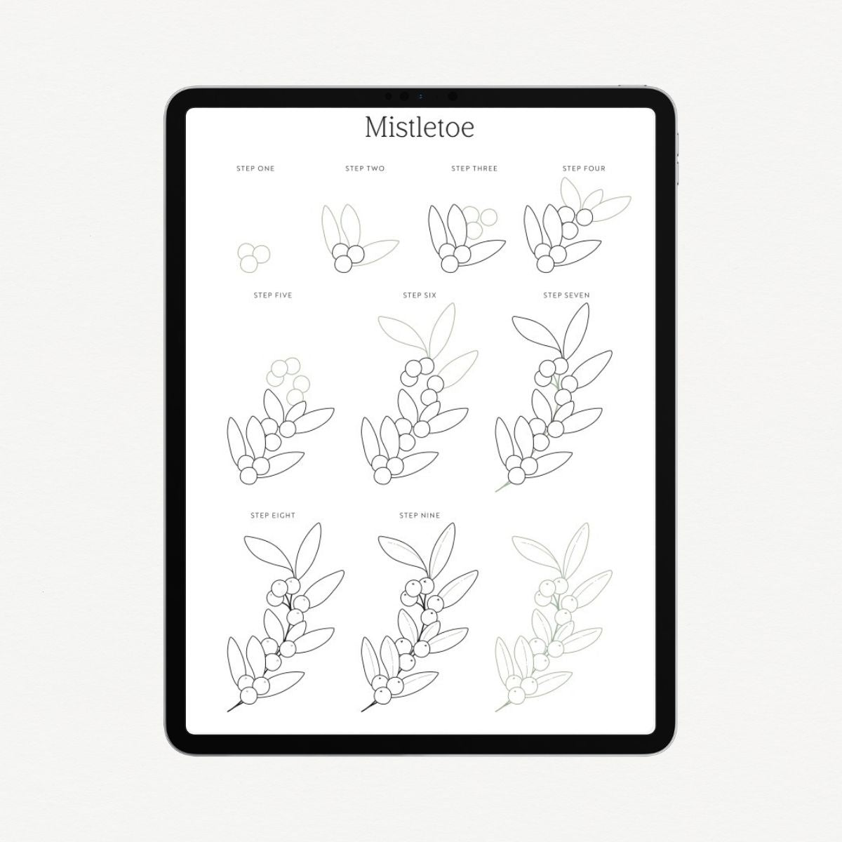 A sample page shown on an ipad - from the Christmas Wreath: Festive Drawing Guide by Emma Webb