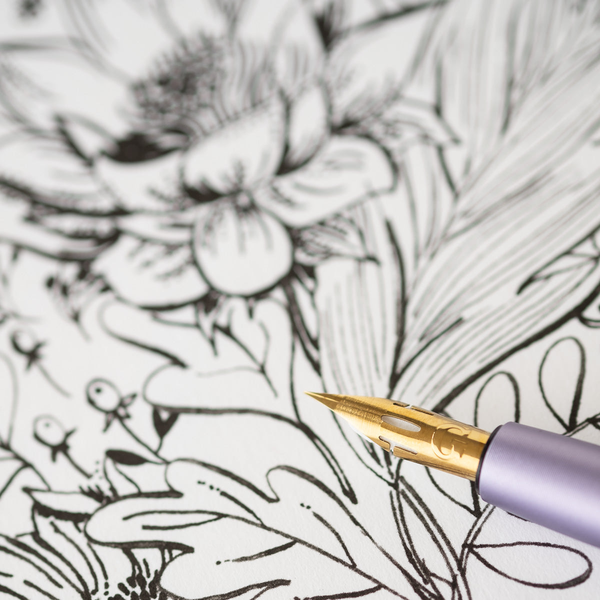 The Pro-Flex fountain pen nib on an illustrated background