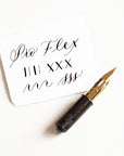 Pro-Flex fountain pen nib