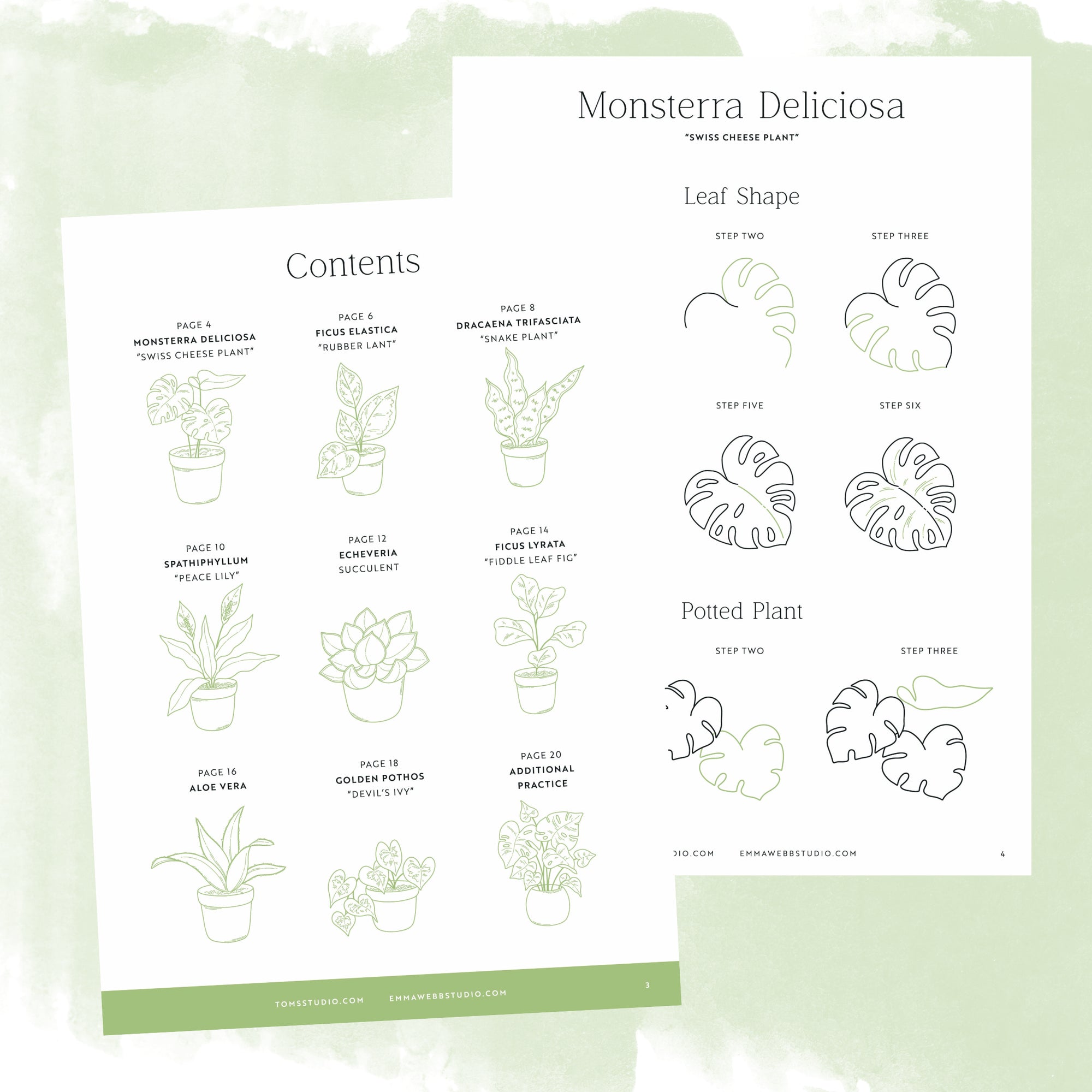 Drawing Guide: House Plants