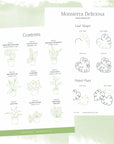Drawing Guide: House Plants