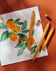 Lumos Matte Clementine