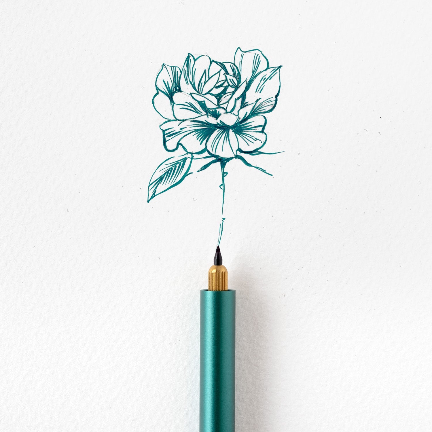 An example of a rose illustration created using the Detail Brush Tip in the Lumos, in Marianas blue/green fountain pen ink