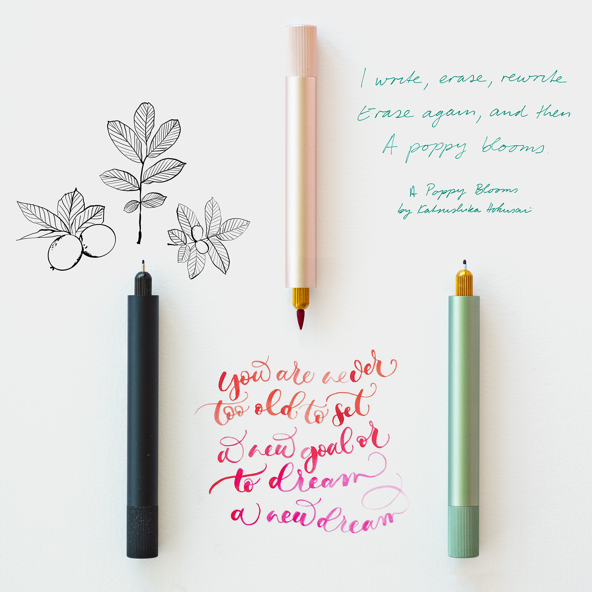 The Lumos Mini refillable pen (left to right) Black, Blush and Sage shown on samples of illustration and lettering creating using the interchangeable tips