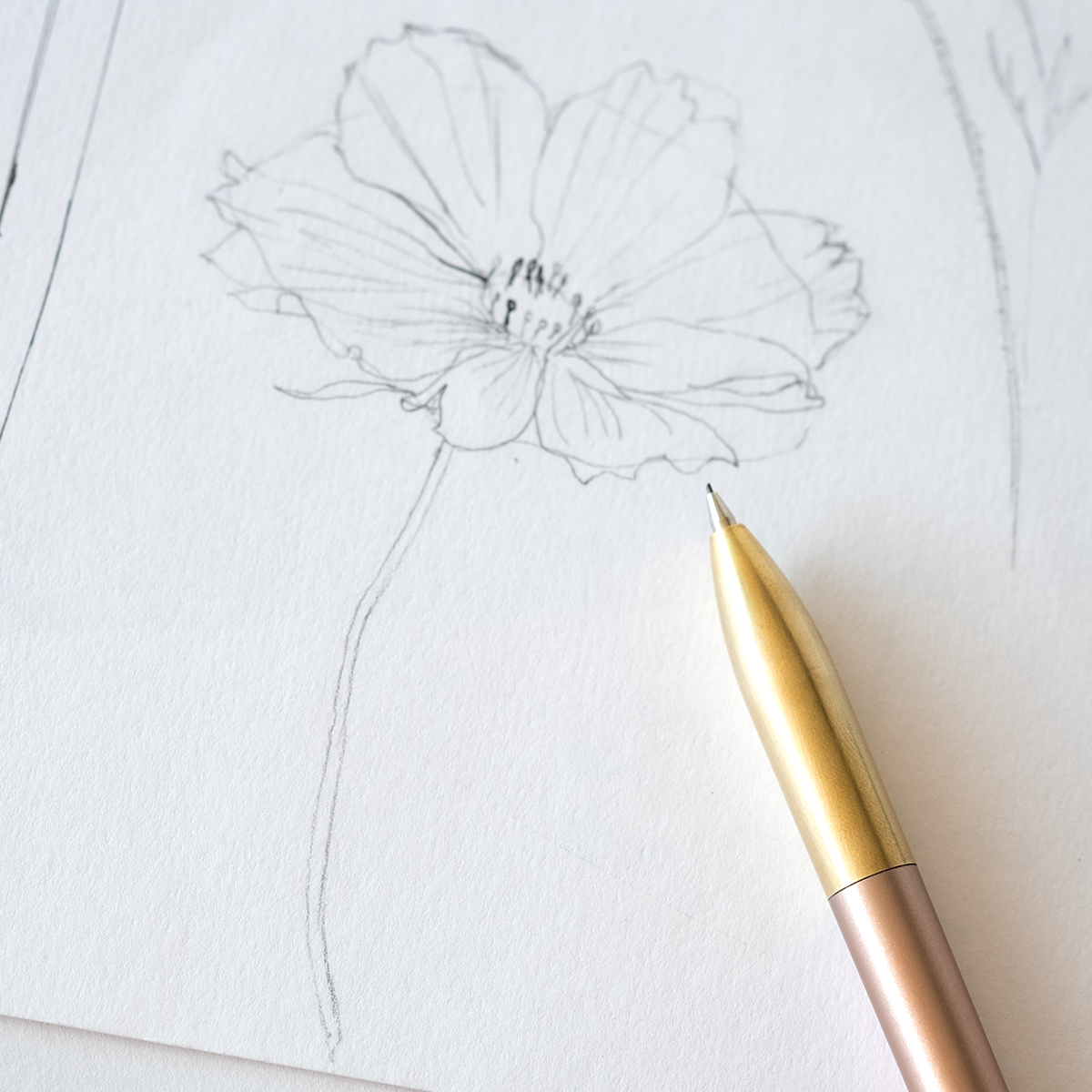 Tom's Studio Mechanical Pencil in Blush with an illustration of a poppy