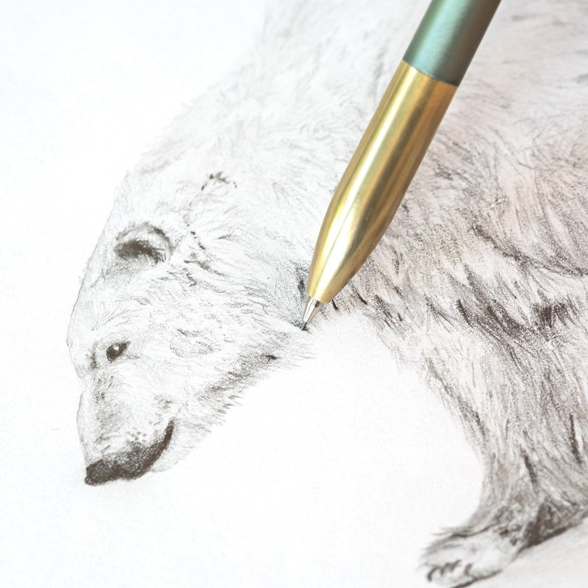 Tom's Studio Mechanical Pencil in Sage with an illustration of a polar bear
