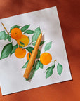 Matte Clementine Wren