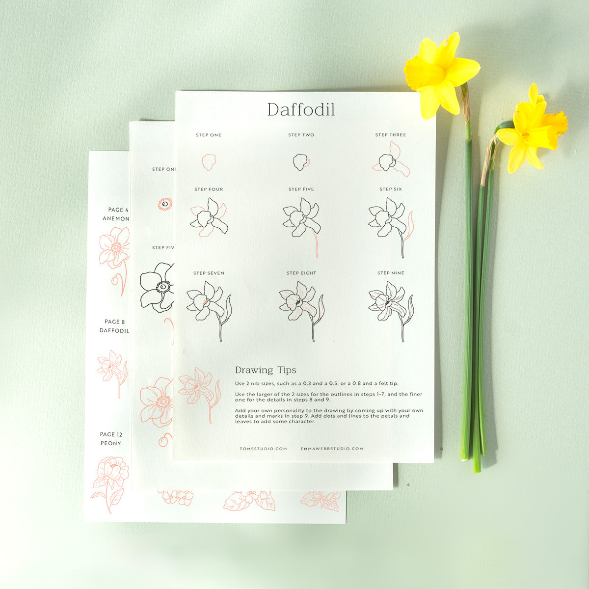 Drawing Guide: English Country Garden