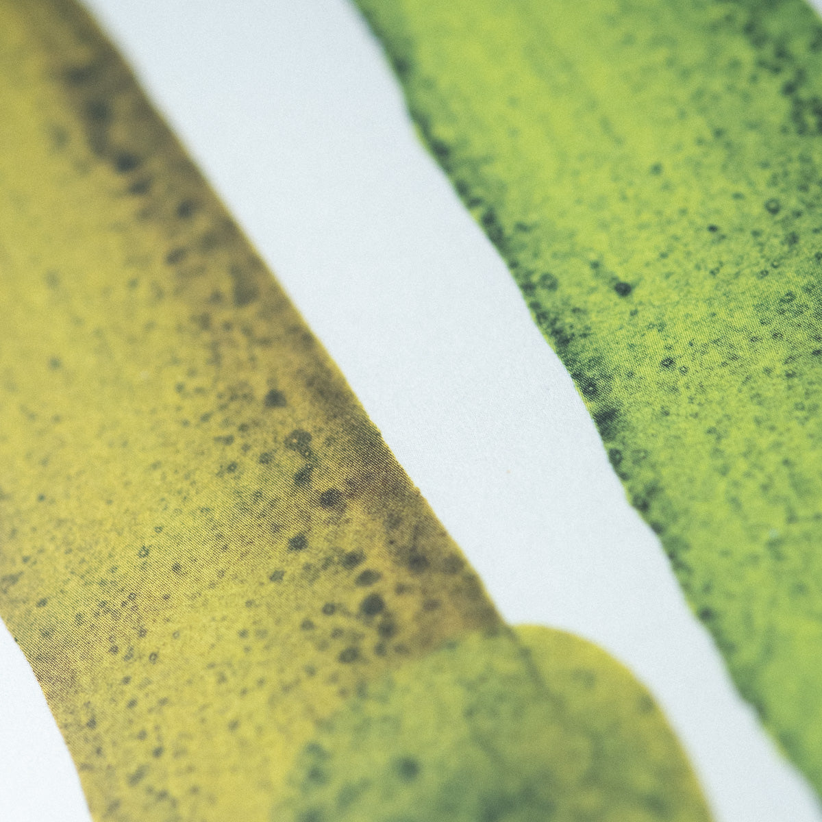 Detail of ink swatch from Make Ink by Jason Logan book internals