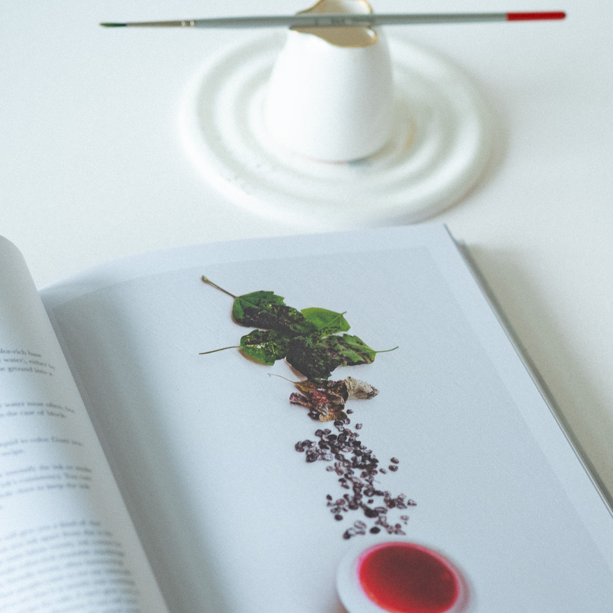 Make Ink by Jason Logan book internals shown with the Fine Bone China Artist's Palette and Water Jug, and a paintbrush