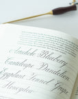Mastering Copperplate Calligraphy by Eleanor Winters book internals with the Bloom Oblique Calligraphy Pen in Dark Mulberry