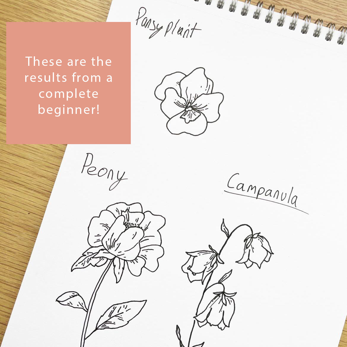 Drawing Guide: English Country Garden