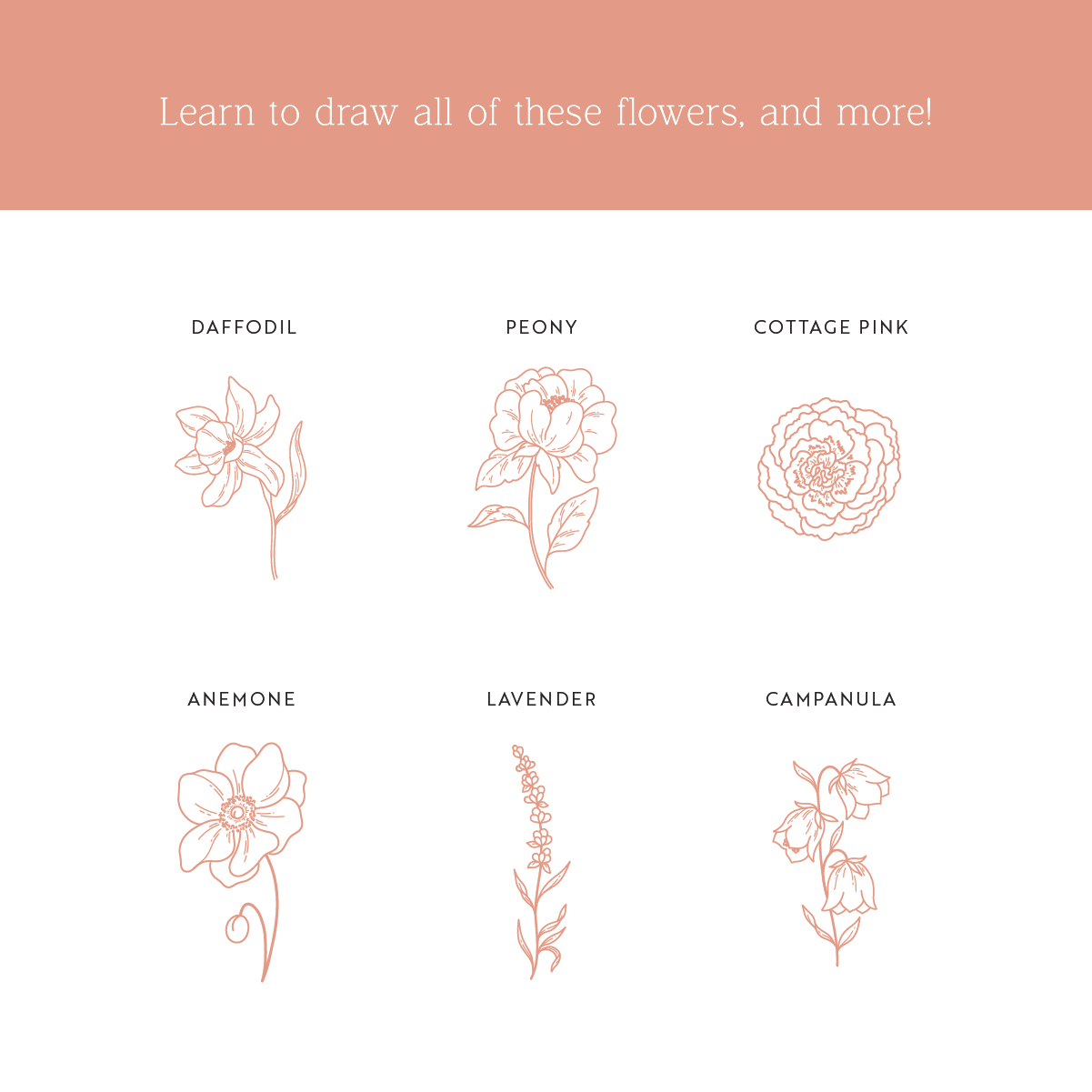 Drawing Guide: English Country Garden