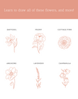 Drawing Guide: English Country Garden