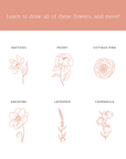 English Country Garden - Drawing Guide