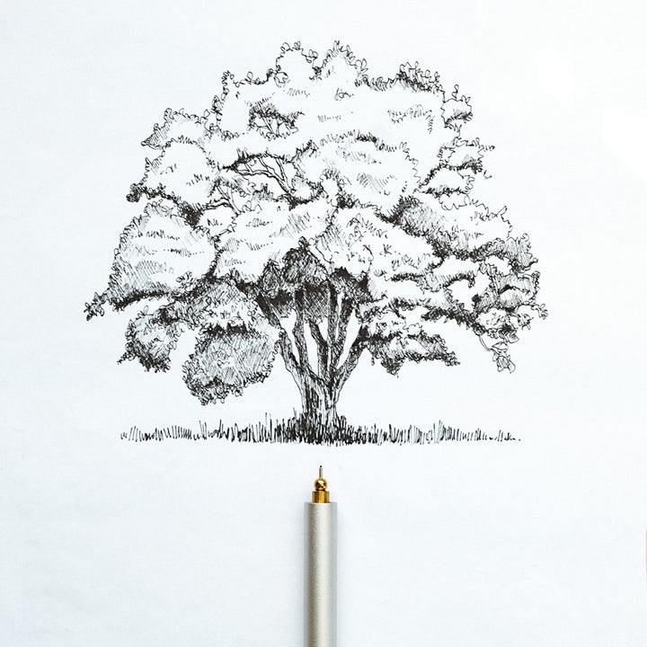 Bloom - Oblique Calligraphy Pen - Peony – Tom's Studio