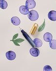 Blueberry Field Mouse - Special Edition
