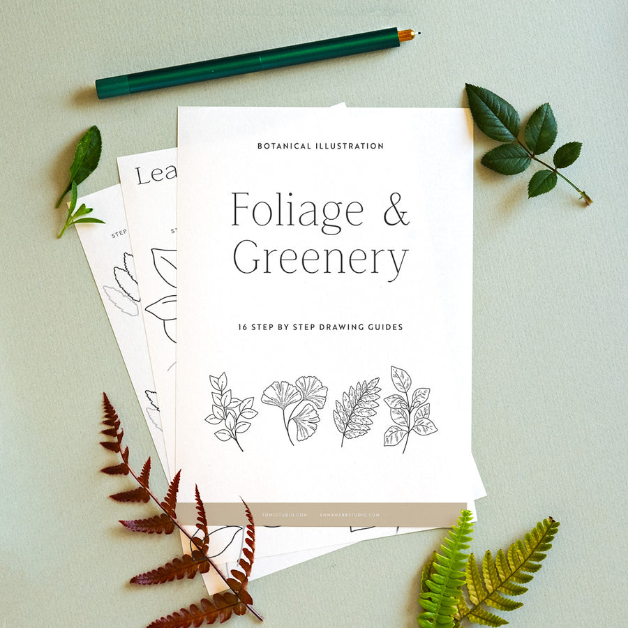 Drawing Guide: Foliage & Greenery