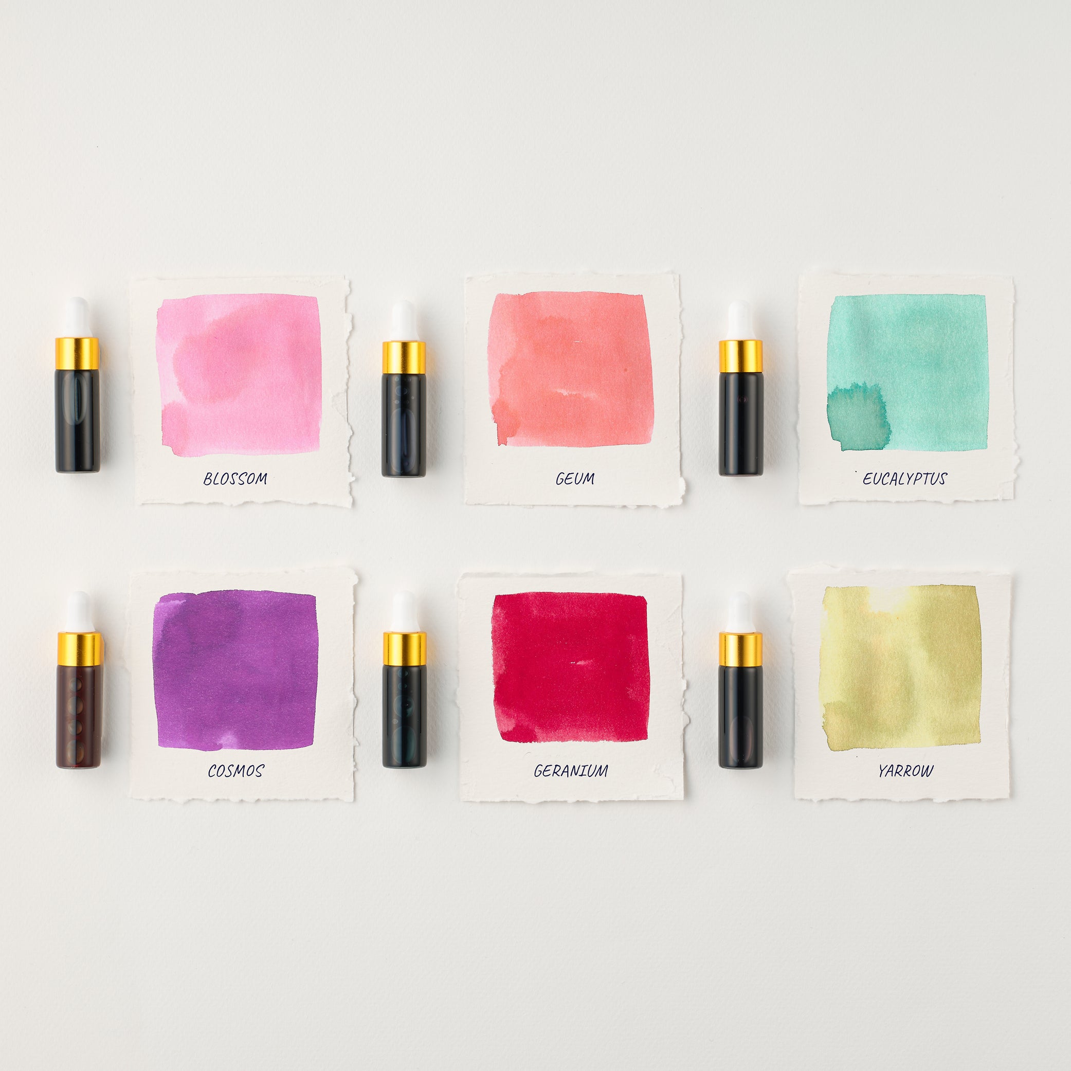 Sakura Mini Ink Collection | Tom's Studio