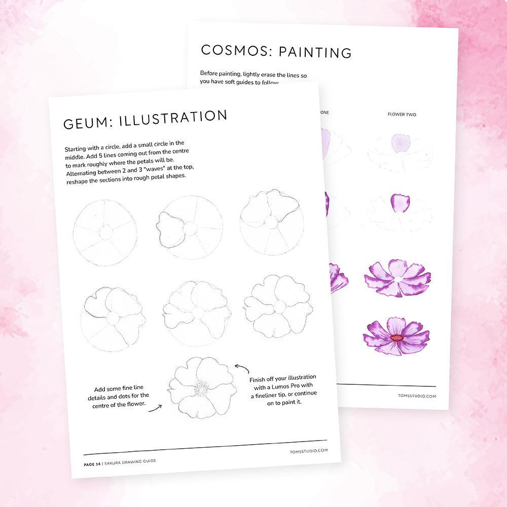 Sakura Collection Drawing Guide