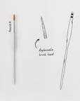 Studio Paintbrush Round 6