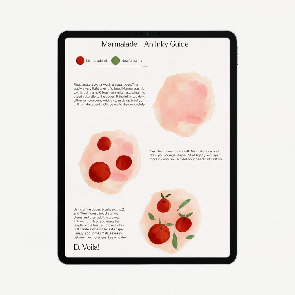 Drawing Guide: Summer Fruits – Seville Oranges & Raspberries – Tom's Studio