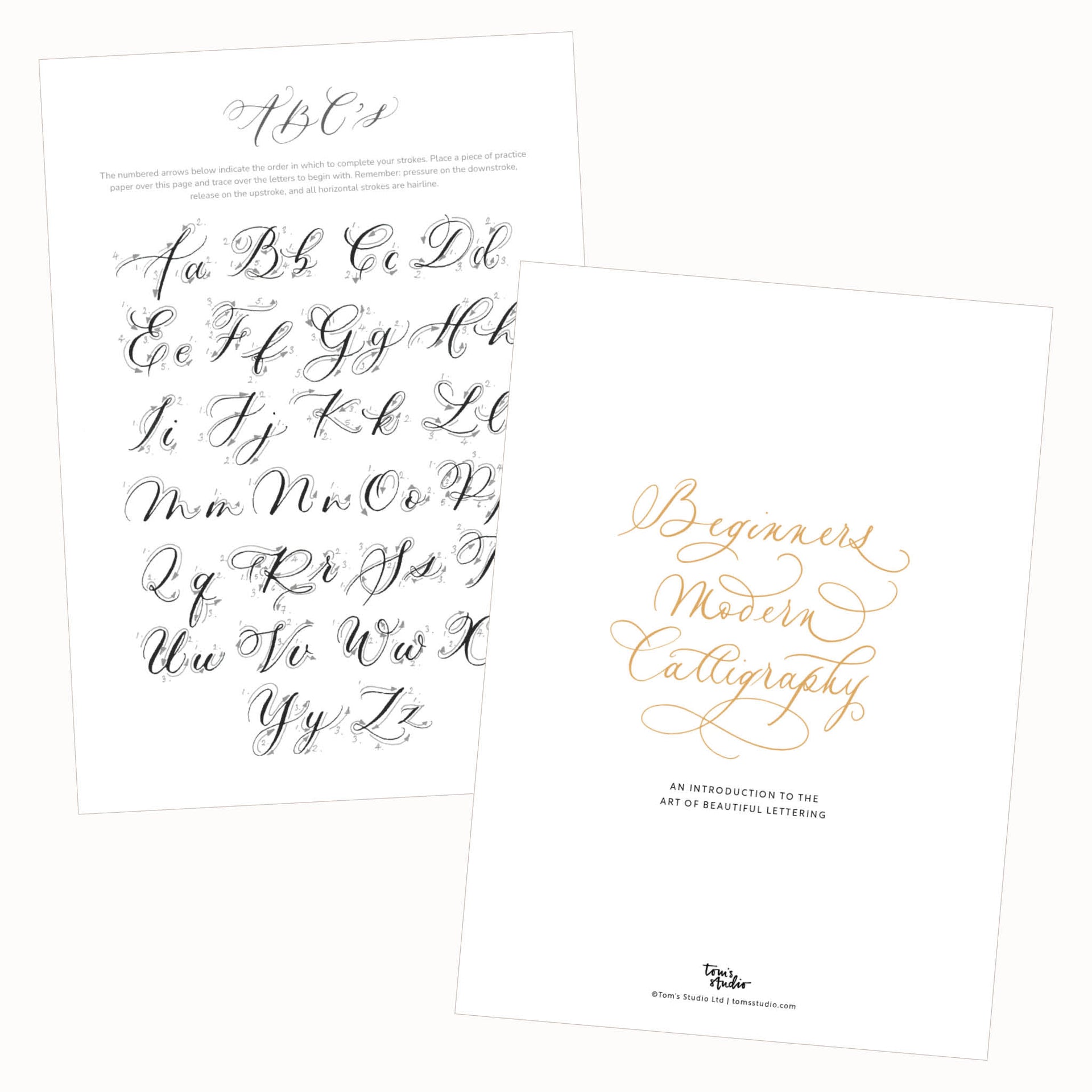Digital Guide: Beginner's Modern Calligraphy – Tom's Studio