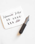 Titanium Flex fountain pen nib