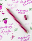 The Lumos Pro Duo Refillable Pen in Raspberry with fineliner and writing tips