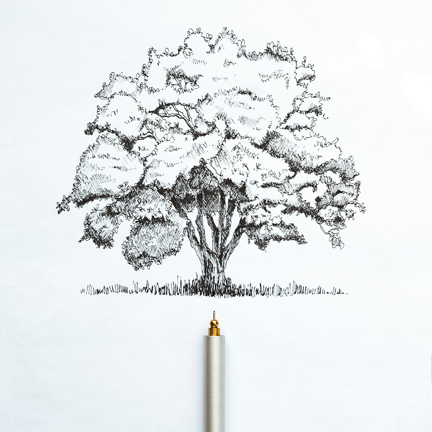 Illustration of a tree in black ink using the lumos refillable fineliner