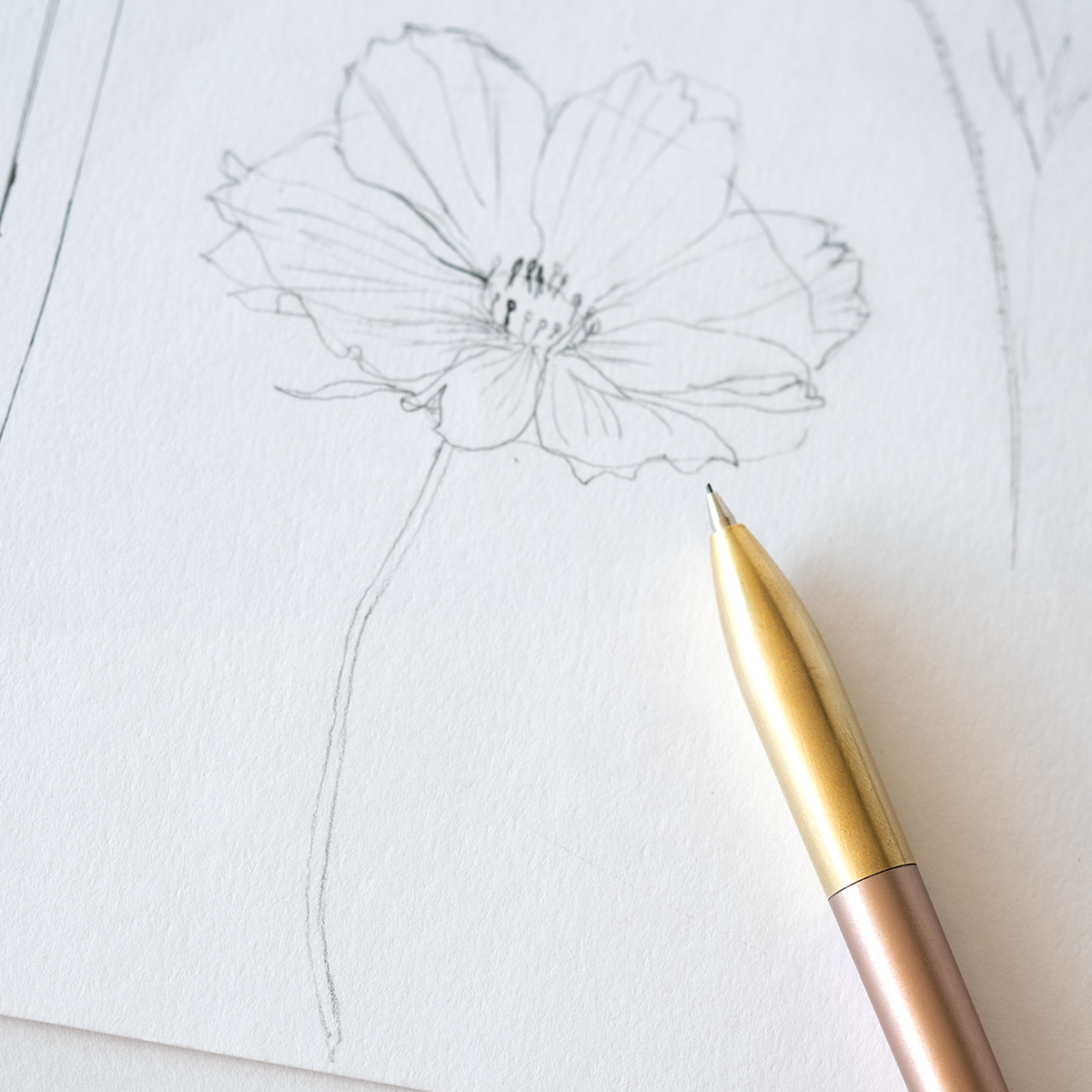 Tom&#39;s Studio Mechanical Pencil in Blush with an illustration of a poppy