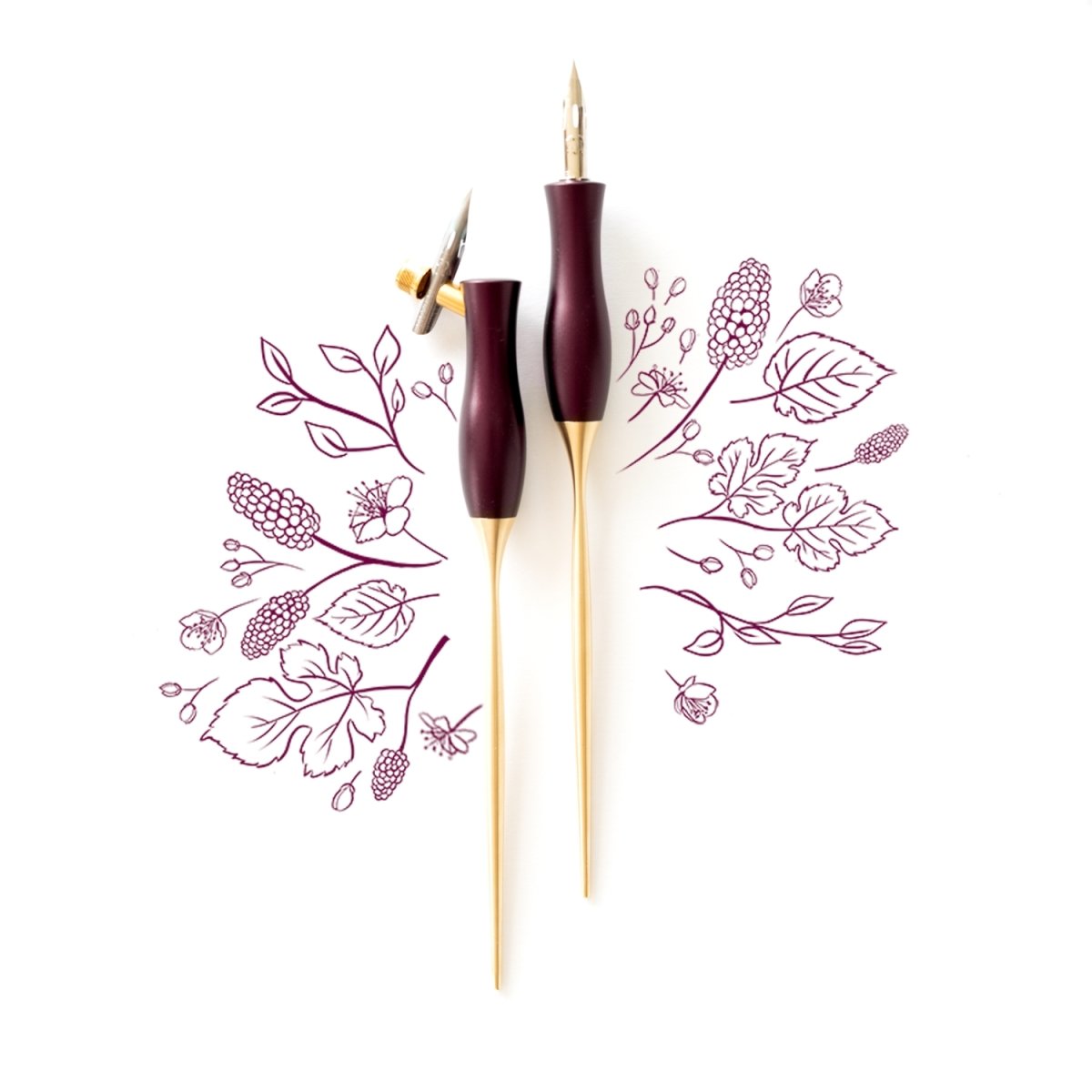 Two Bloom calligraphy pens in Dark Mulberry – both oblique and straight nib setting on a background of illustrations in ink