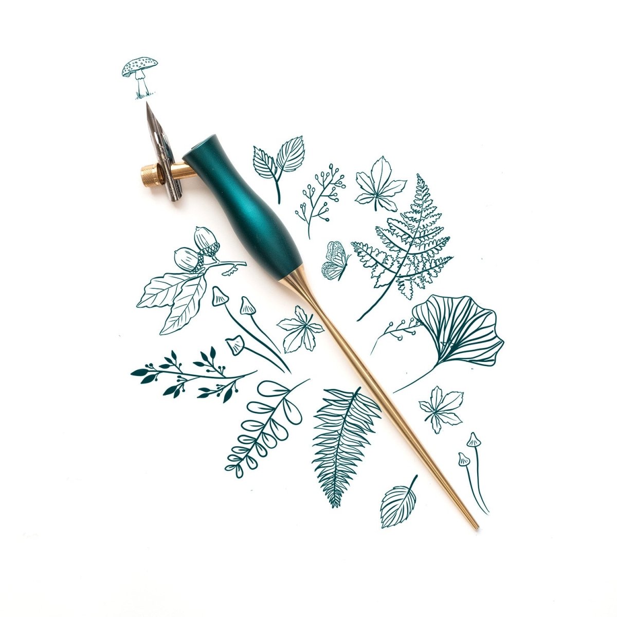 The Bloom calligraphy pen with oblique nib setting in Ivy on a background of illustrations in ink