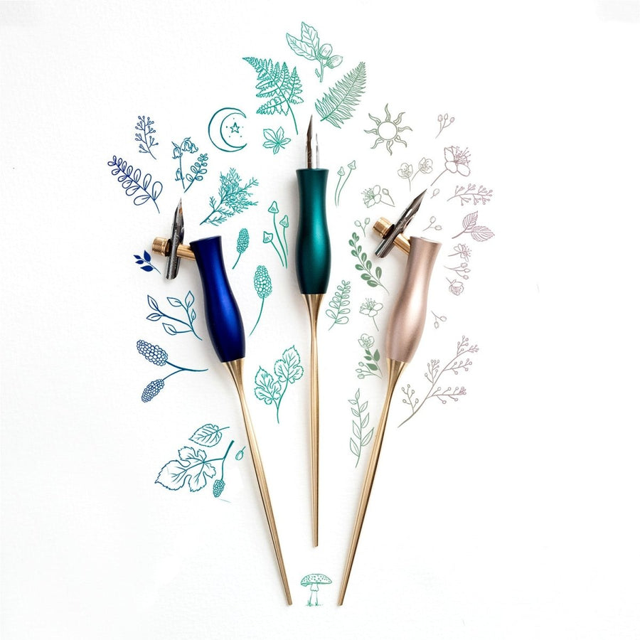 3 different versions of The Bloom modern calligraphy pen on a background of illustrations in ink