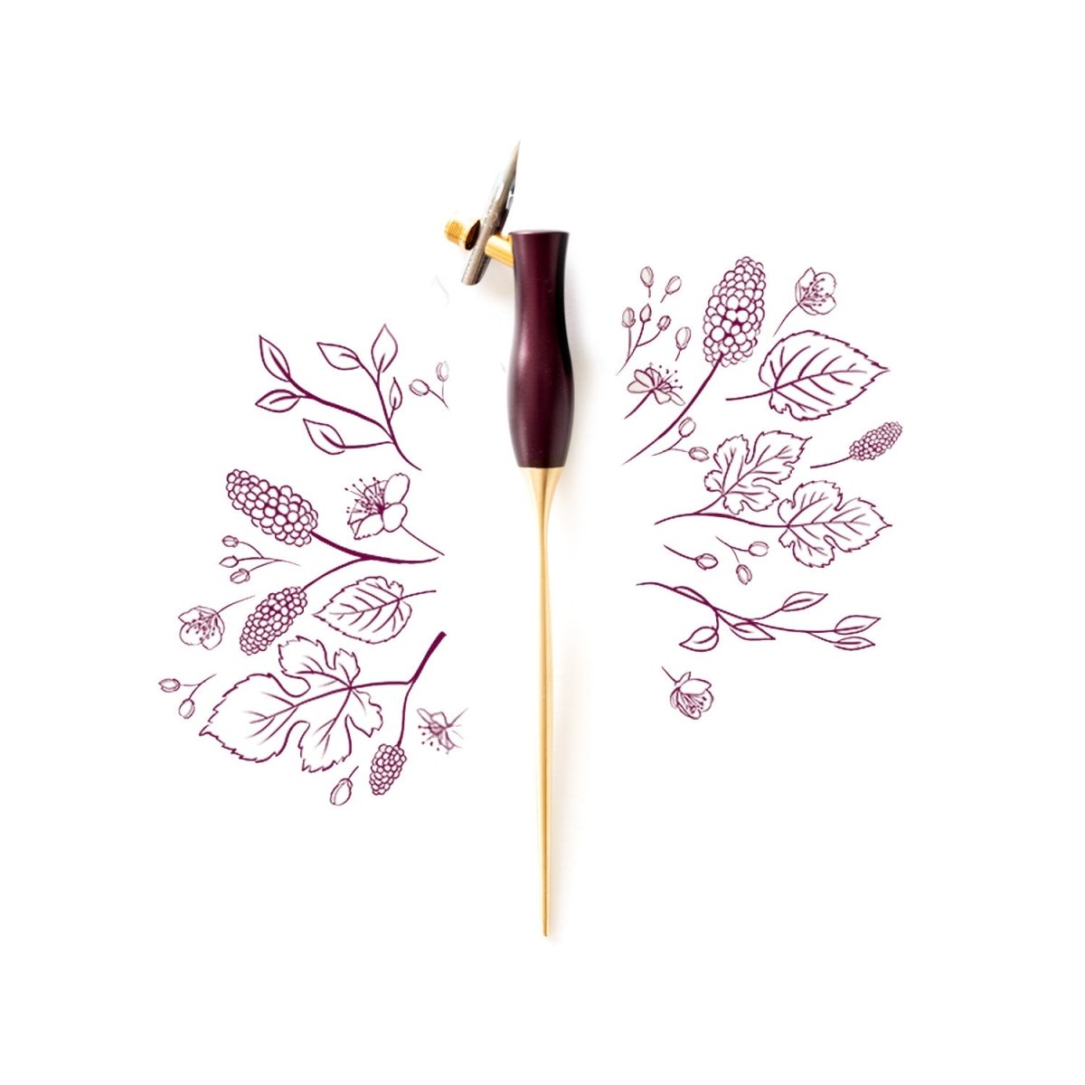 The bloom oblique calligraphy pen in mulberry on a background of illustration in ink