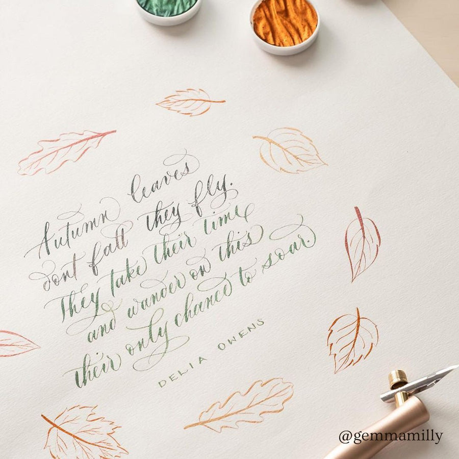 Bloom - Oblique Calligraphy Pen - Peony – Tom's Studio