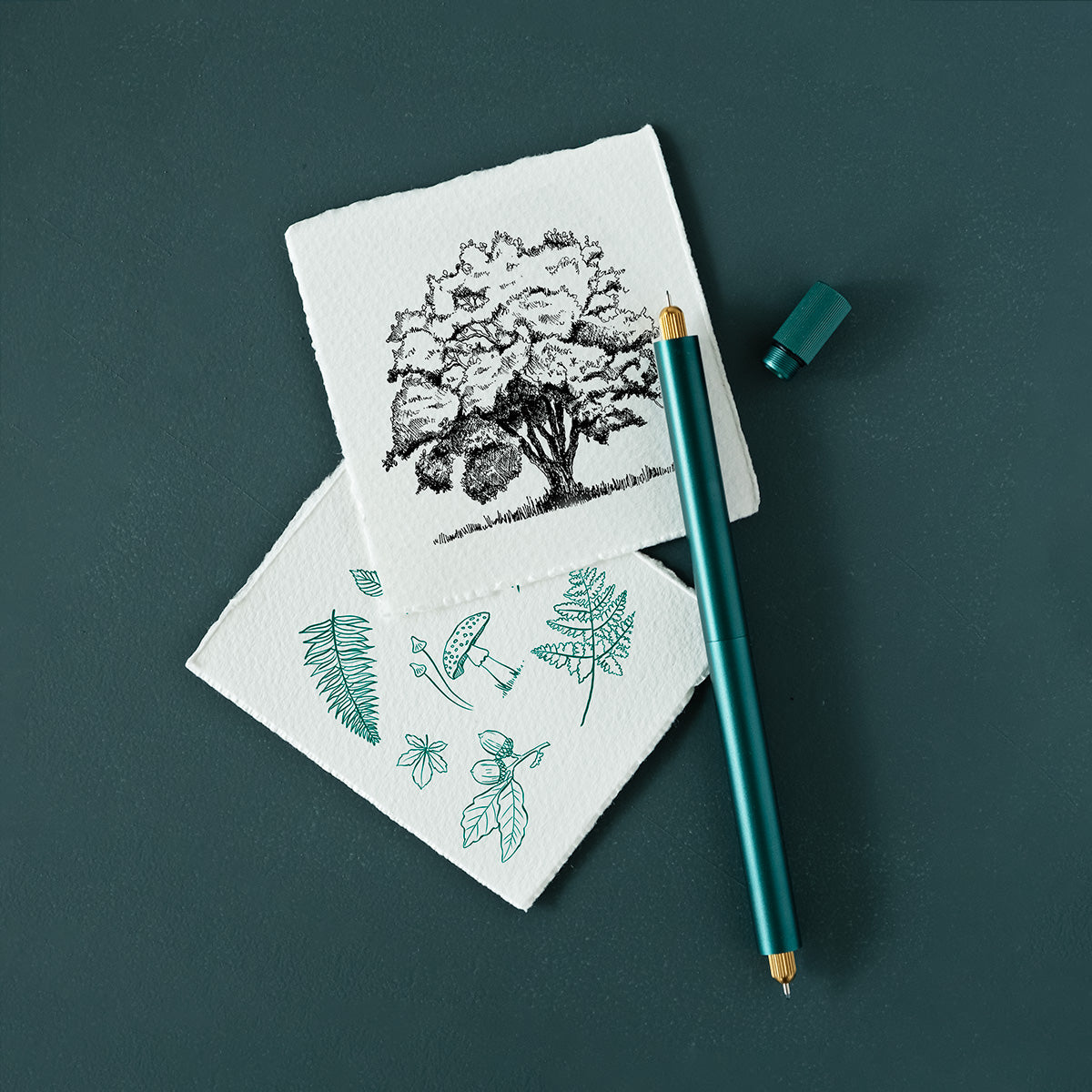 the lumos duo refillable fineliner in ivy with some botanical illustrations