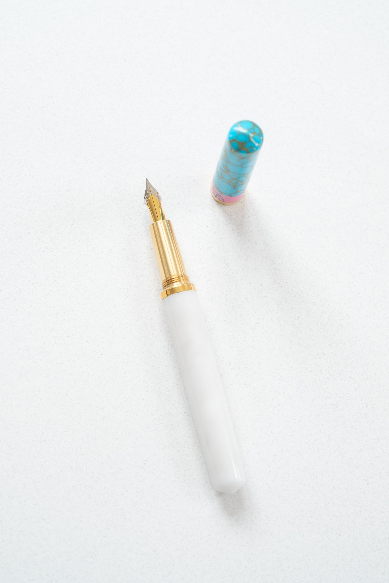 Pink + Turquoise Studio Fountain Pen with a flexible nib